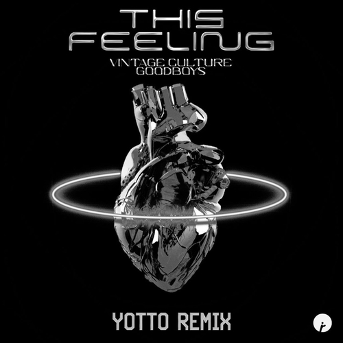Vintage Culture, Goodboys - This Feeling (Yotto Remix) [IR0189B]